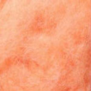 product_id_273.jpg