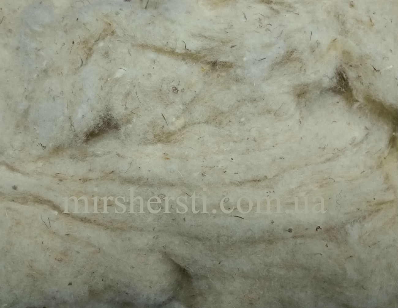 product_id_481.jpg